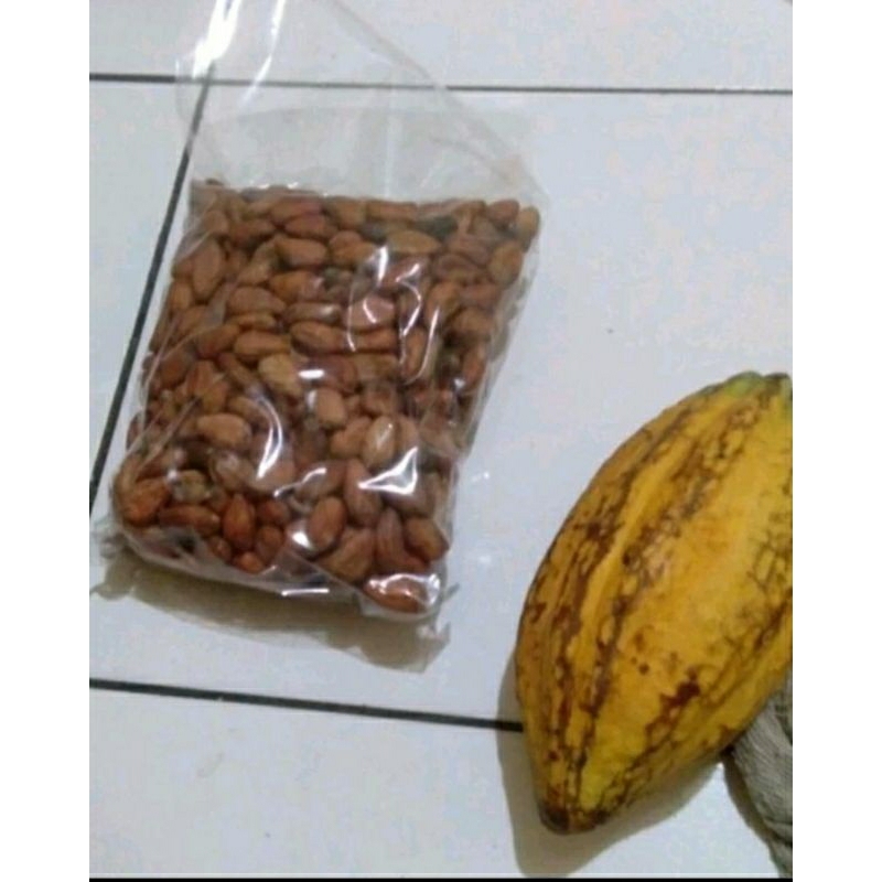 Biji Kakao / Coklat kering