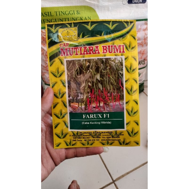 

Benih Cabai Kriting Farux F1 Benih Hibrida 10gr cap mutiara