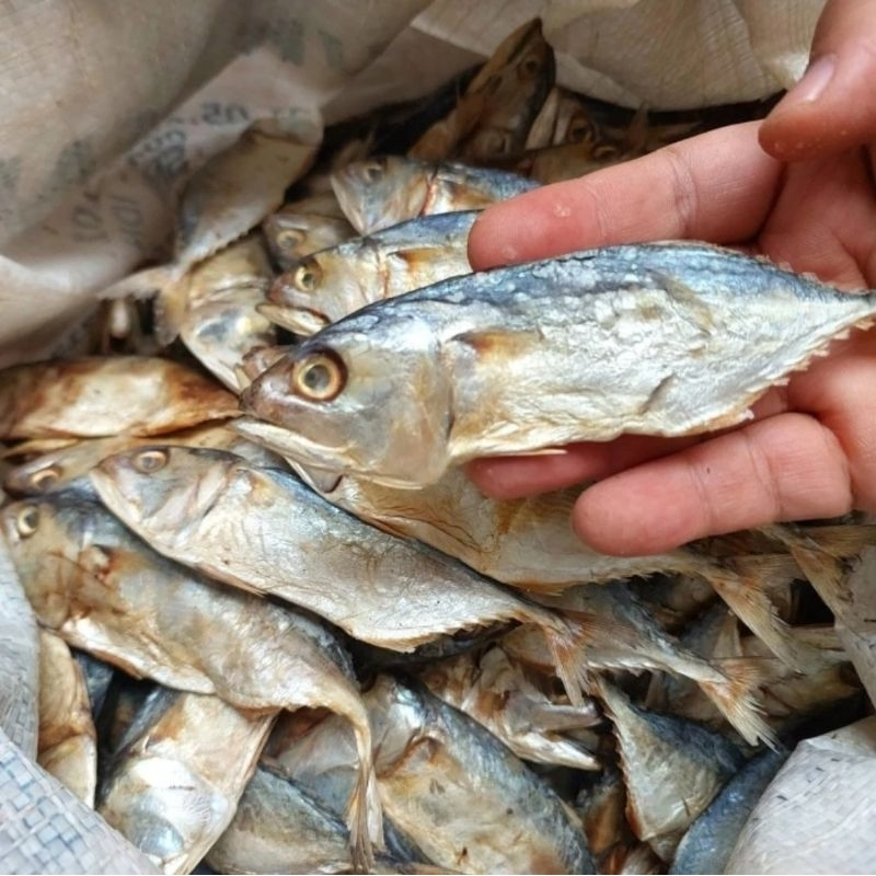 

Ikan Asin Kembung Kecil Sedang 250gr