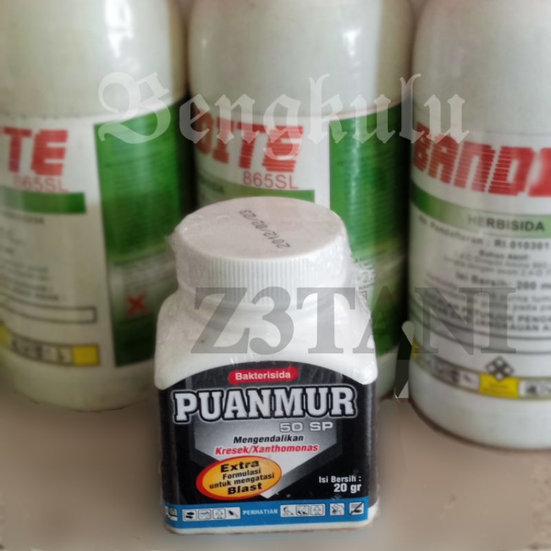 Fungisida Bakterisida PUANMUR 50 SP 20gram Mengendalikan Kresek / Xanthomonas