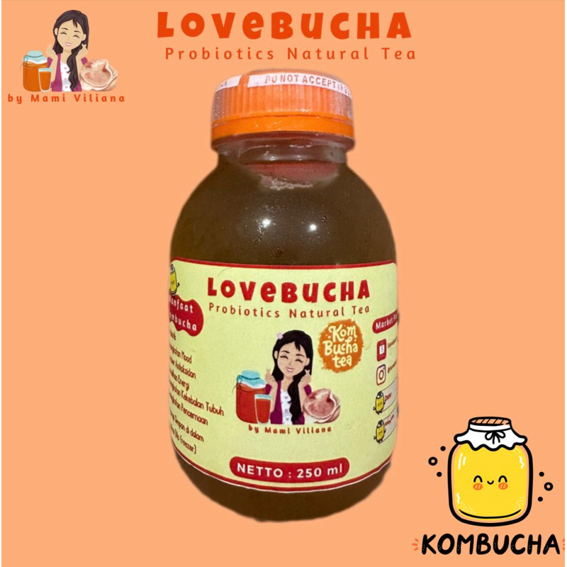 

Kombucha Original 250 ml