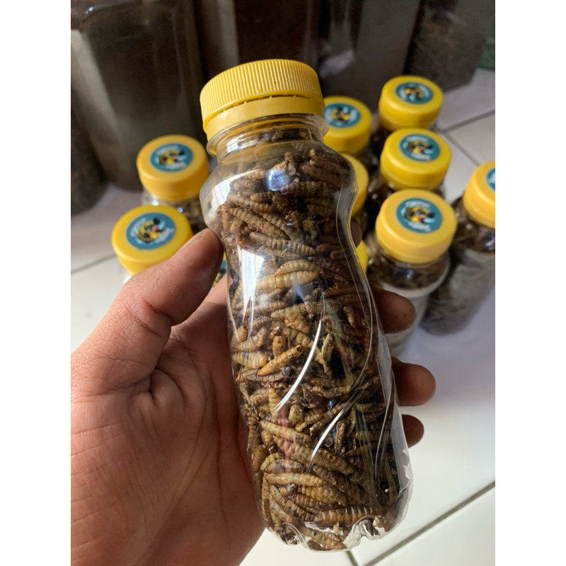 Maggot Kering BSF Super Premium Yellow Grade A+ Pakan Ikan Channa Oscar Pebas Ikan Hias Air Tawar La