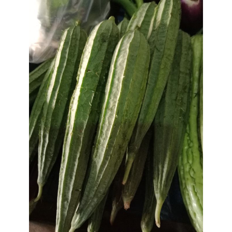 

Oyong / Gambas 500 gram