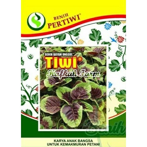 Benih 800+ Biji Bayam TIWI