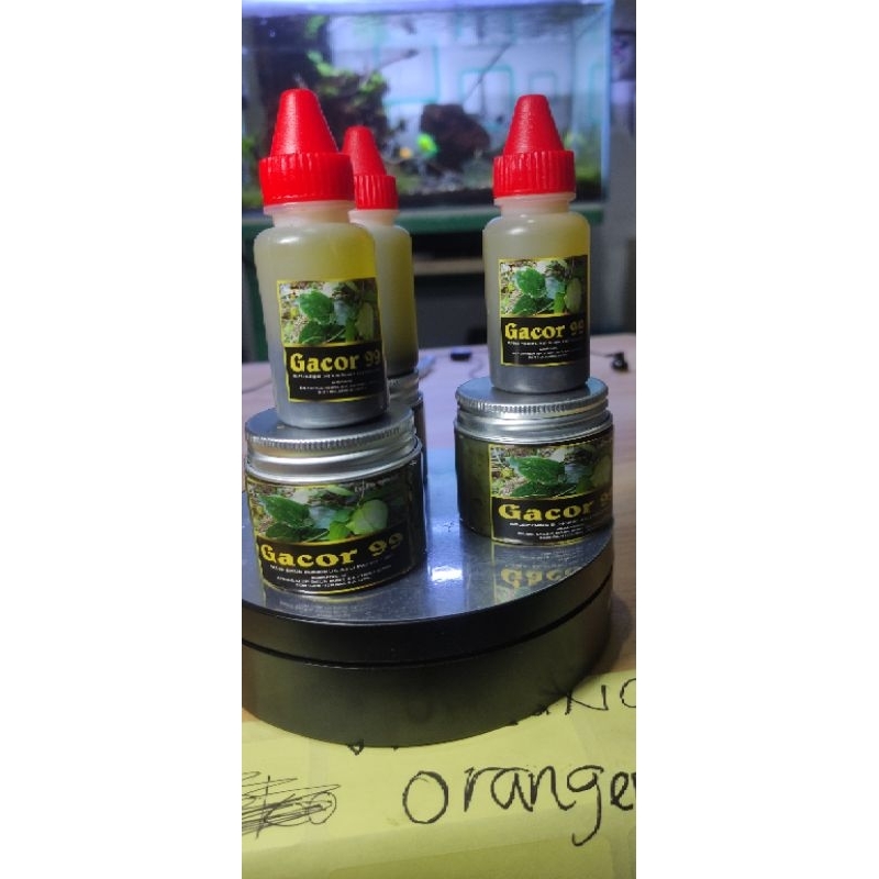 Gacor 99 paket salep minyak