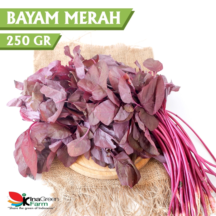 

Inagreen Farm Bandung Sayur Bayam Merah Organik 250 Gram