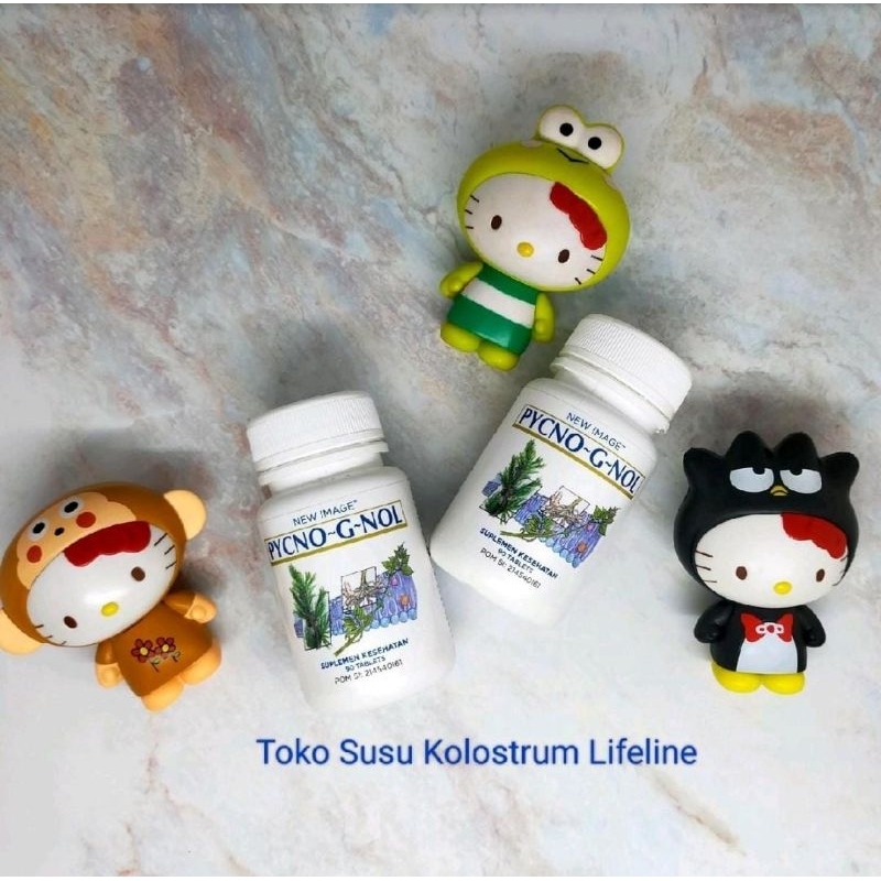 Pycnogenol Antioksidan isi 90