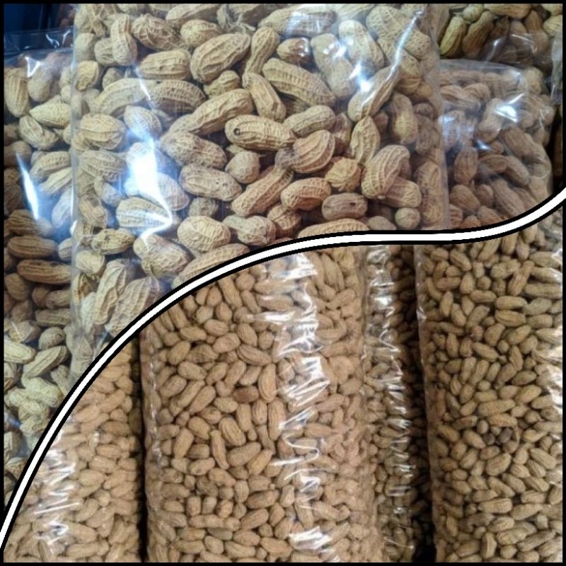 

Kacang kulit sangrai Oven 1 KG Original gurih dan renyah