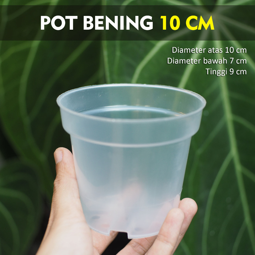 Pot Bening Plastik 10cm - Pot Bening Transparan - Pot Bening Kecil - Pot Bibit Bening