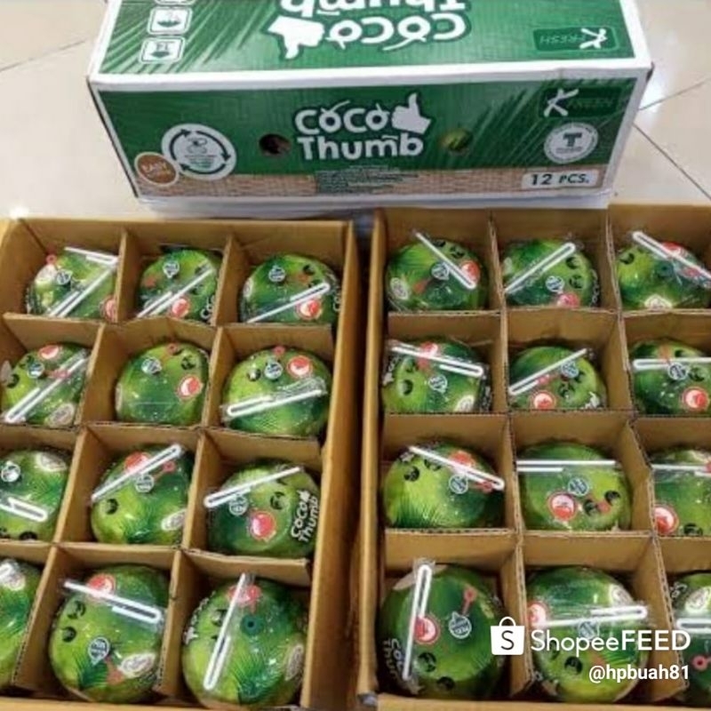 

kelapa muda import Thailand /dus (isi 12)