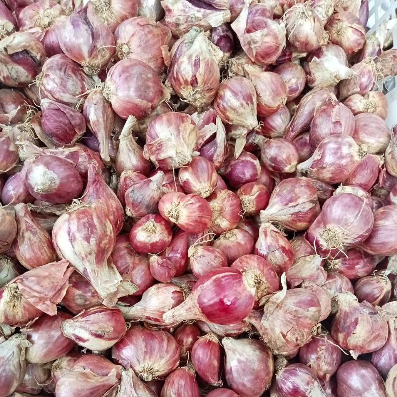 

bawang merah 1kg