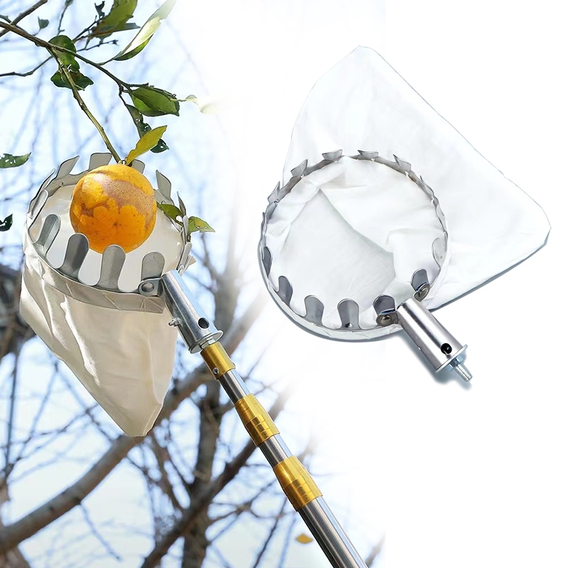 Pemetik Buah Metal Pemetik Buah Mangga Pemetik Buah Tinggi Alpukat Jambu Alat Pemetik Buah Fruit Pic