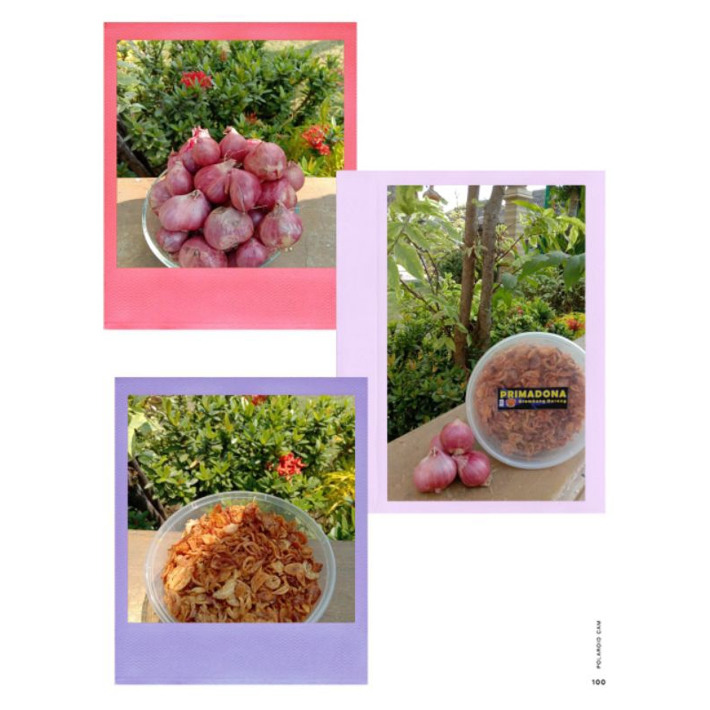 

Primadona brambang goreng asli, kualitas premium kemasan 120 gr.