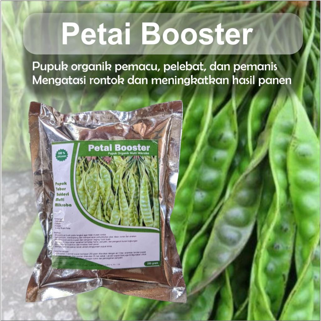 Pupuk Pelebat Petai Pete Organik Agar Cepat Berbuah Lebat, Pupuk Booter Perangsang Petai Pete