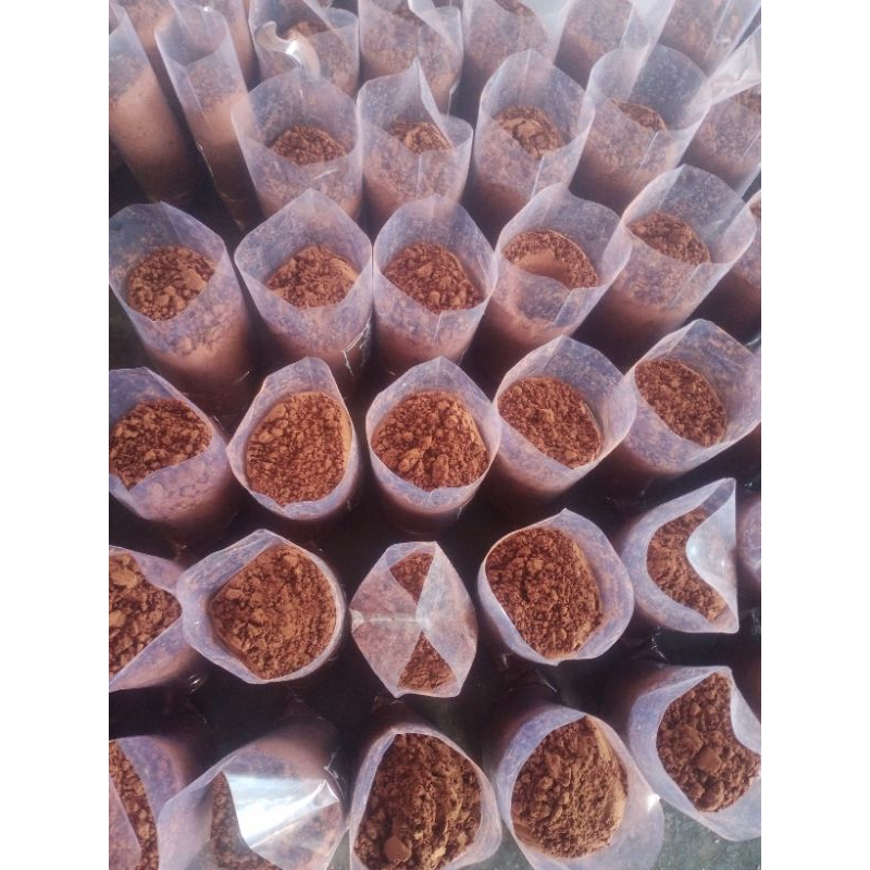 

kopi robusta asli Lampung barat