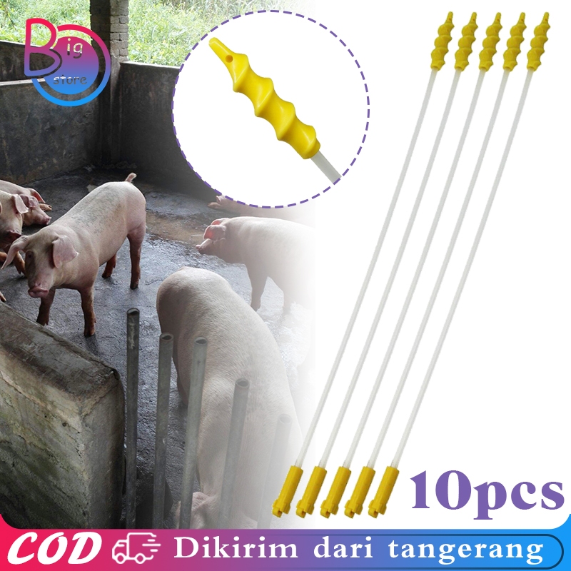 10pcs/Set Kateter Babi Spira Catheter Kateter Inseminasi Buatan Babi Spiral Foam Alat Ib Babi