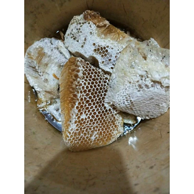 

Sarang madu Hutan Liar 500gr Asli Apis Dorsata