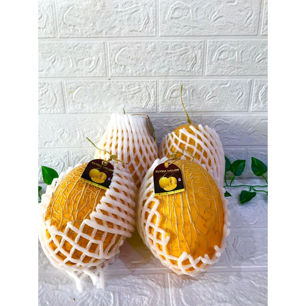 

Melon Elysia