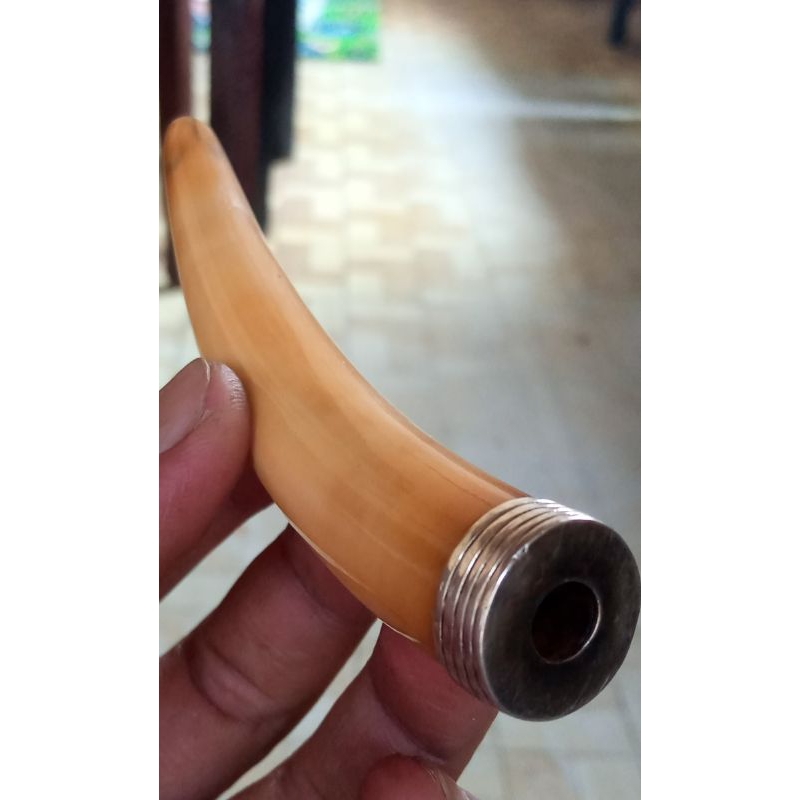 Tarduy Lawas Lengkung Semok Istimewa