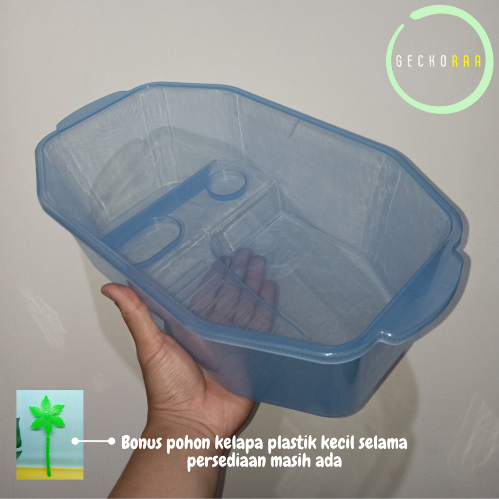 Kandang Akuarium Kura kura Turtle Kura kura Brazil Dada Merah Damer Ukuran Sedang (M)