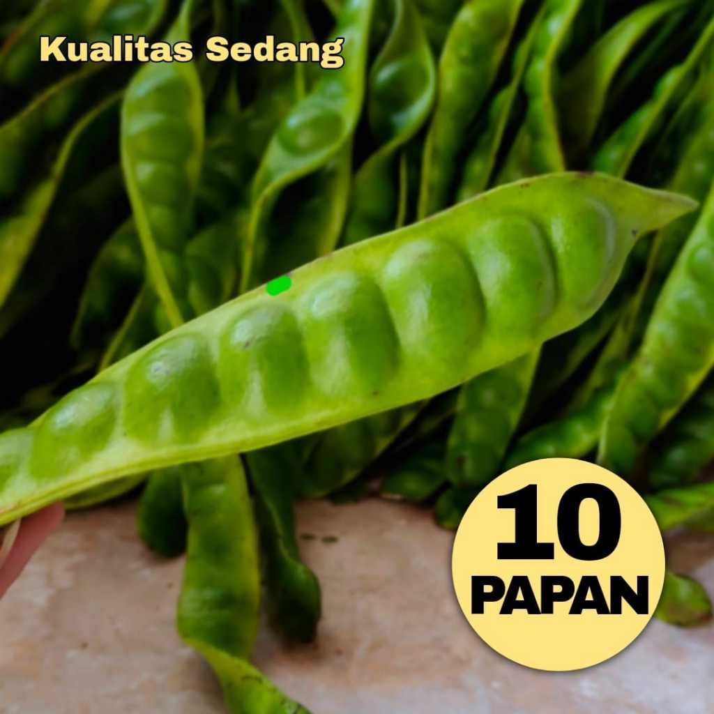 

PETE PERIKAT ISI 10 PAPAN KUALITAS SEDANG