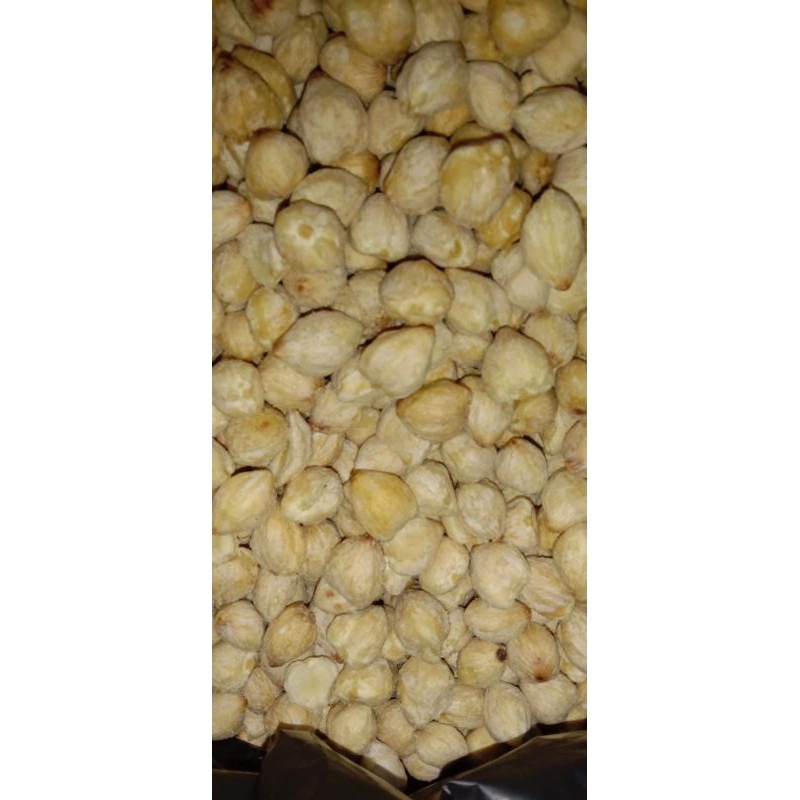 

Kemiri bulat 1kilogram