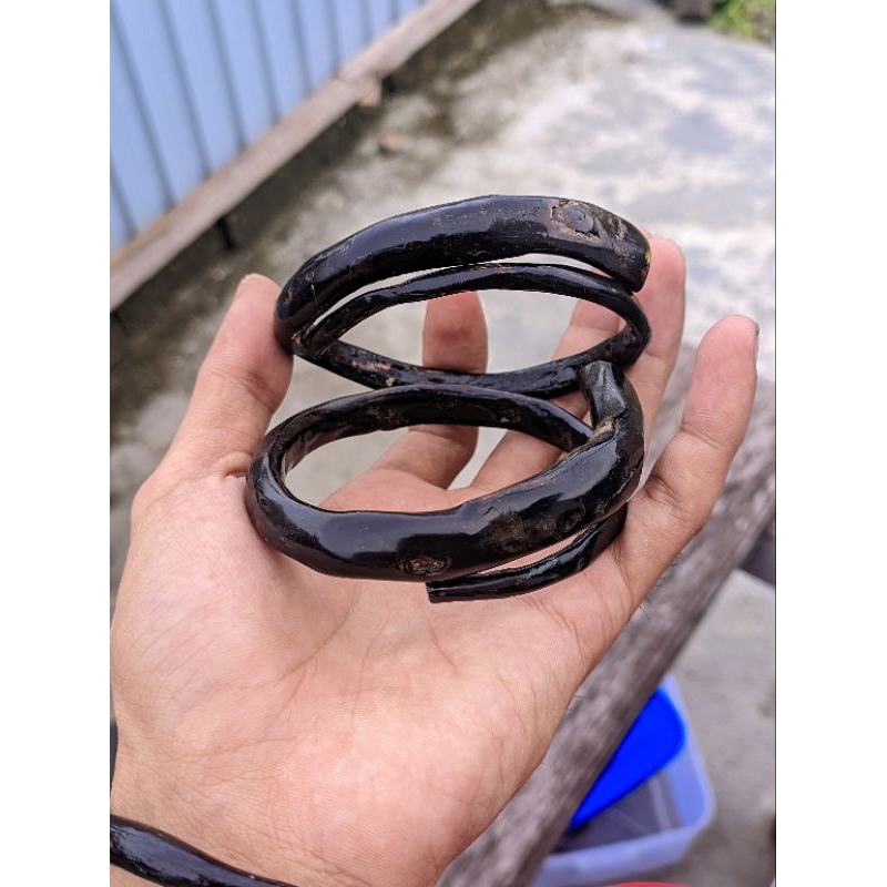 gelang akar bahar papua asli lengkap viral terbaru