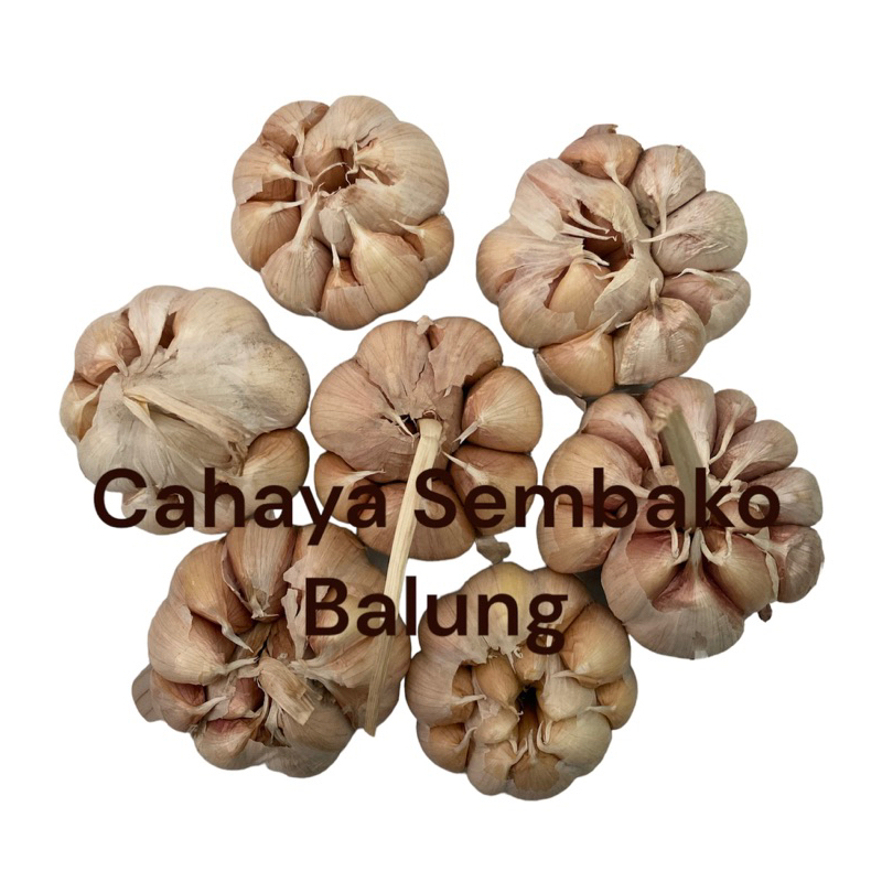 

BAWANG PUTIH 1kg, 500gr, 250gr