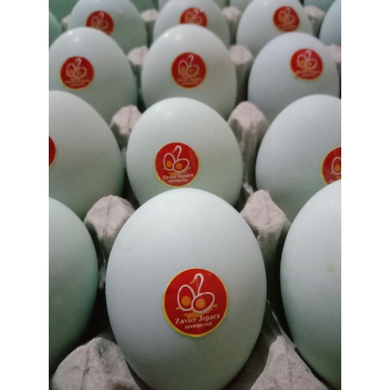 

telur asin Brebes Masir khas Brebes / 10 butir original