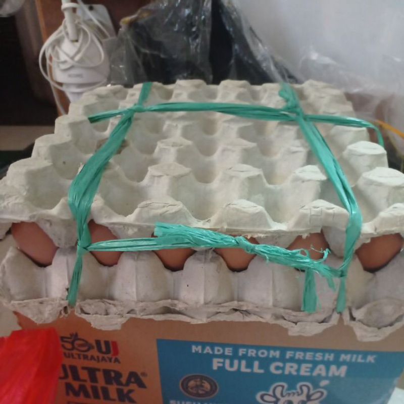 Telor Ayam Jumbo 1 piring