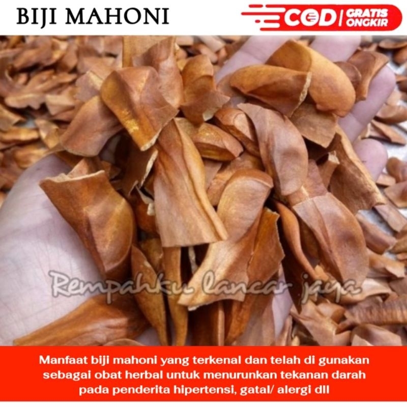 

Biji Mahoni kering 1kg