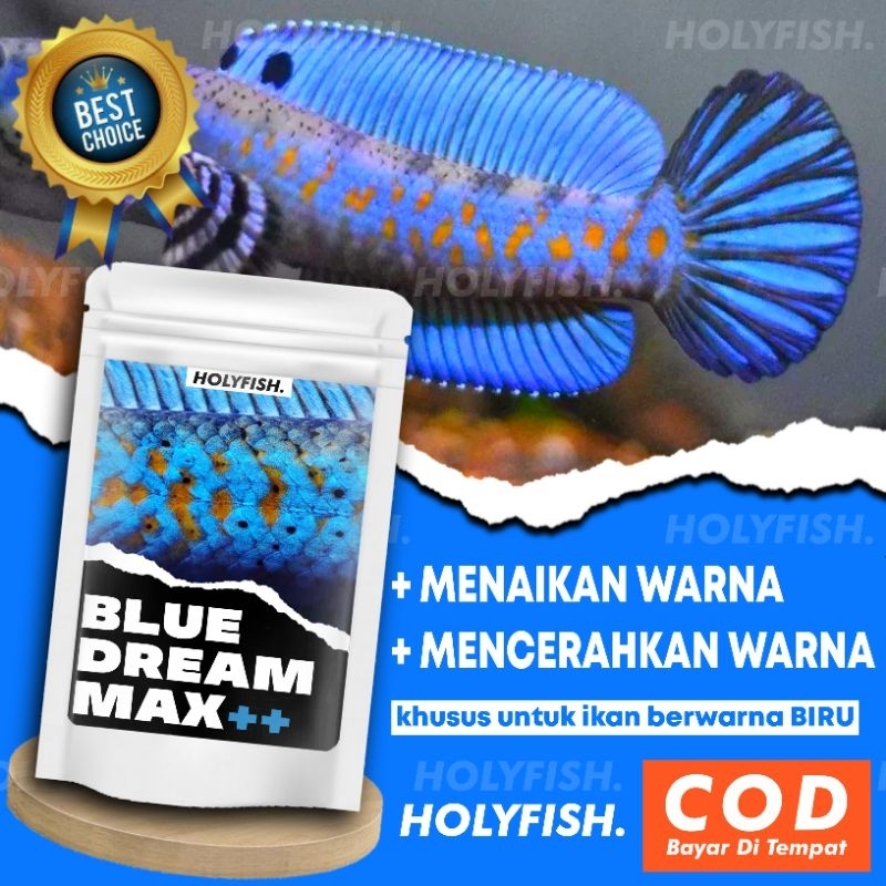 Pakan Pelet Ikan BLUE DREAM MAX++ Pakan Pelet ikan Channa Pulchra Andrao Auranti Stewarti Orcha Orna