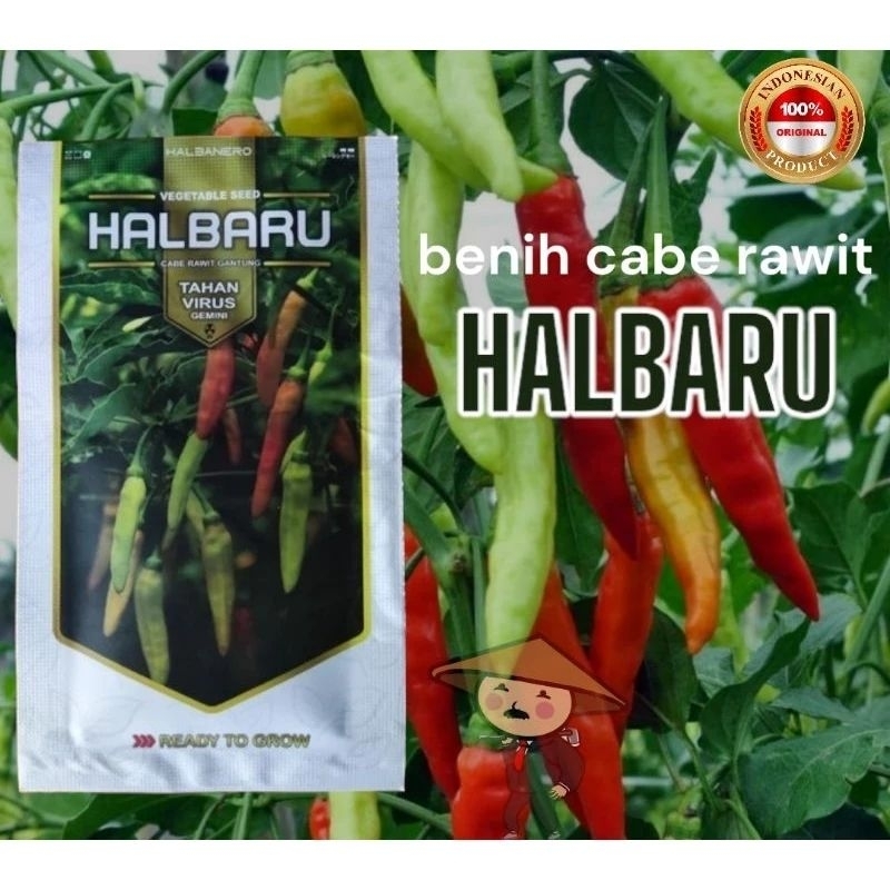 benih cabe rawit HALBARU 10 gram - benih cabai rawit unggul tahan layu dan tahan virus