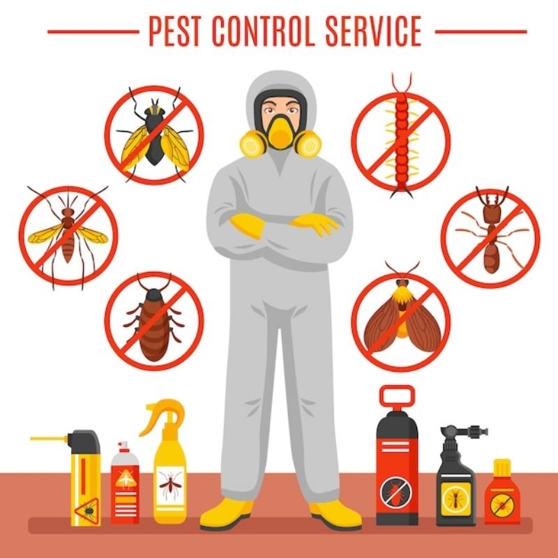 jasa pest control  & anti rayap