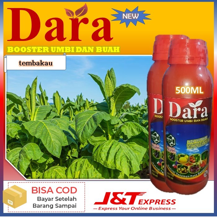 pupuk terbaru dara isi 500ml pupuk untuk tanaman tembakau pupuk boster umbi dan buah - manfaat pupuk