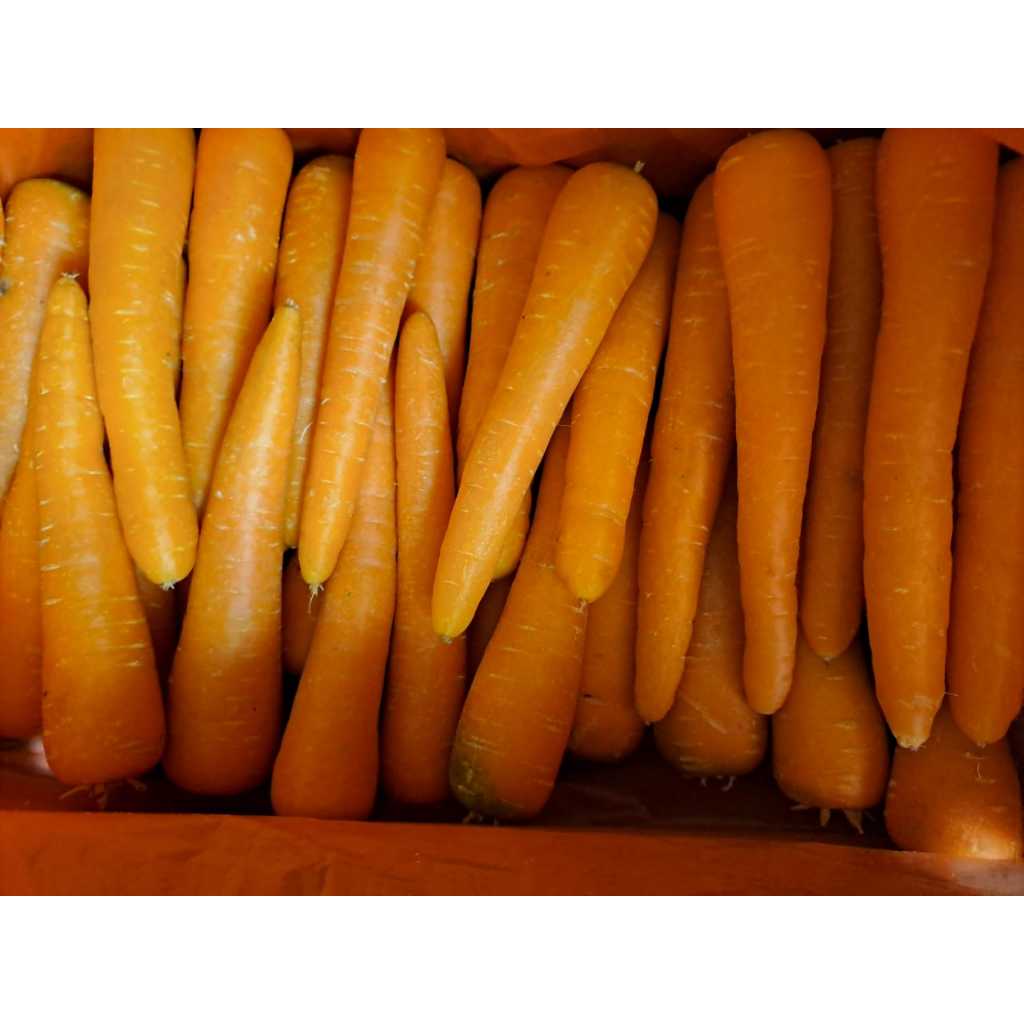 

Wortel Import 500 gram