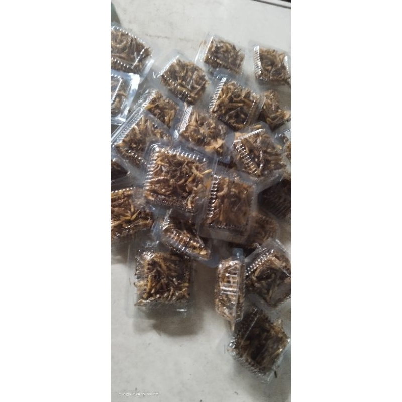 

MURAH CEMILAN BELALANG GORENG KECIL 10RB DAPAT 3 PCS