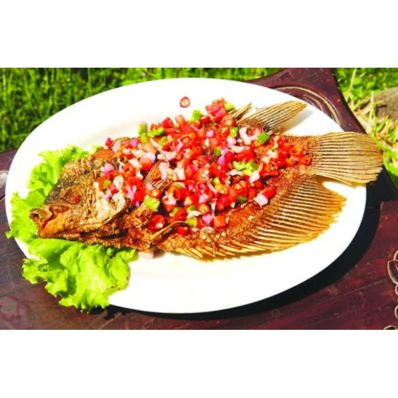 

GURAME GORENG SAMBAL DABU-DABU (INSTAN)