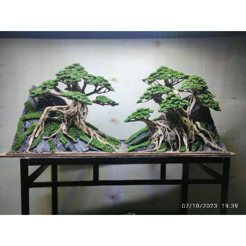 hardscape aquascape untuk tank 60 cm