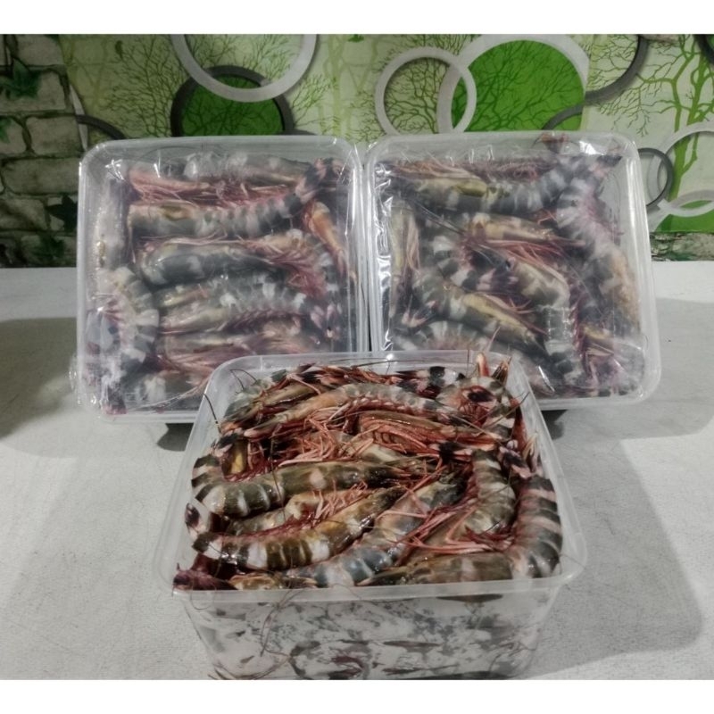 

UDANG WINDU SUPER FRESH 1KG