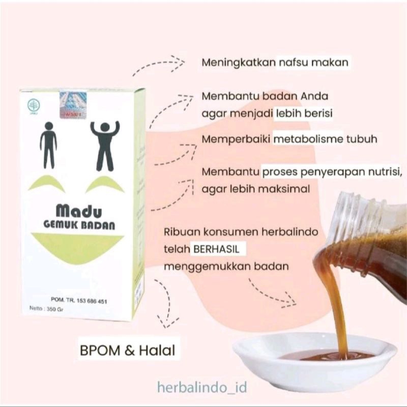 

madu gemuk badan