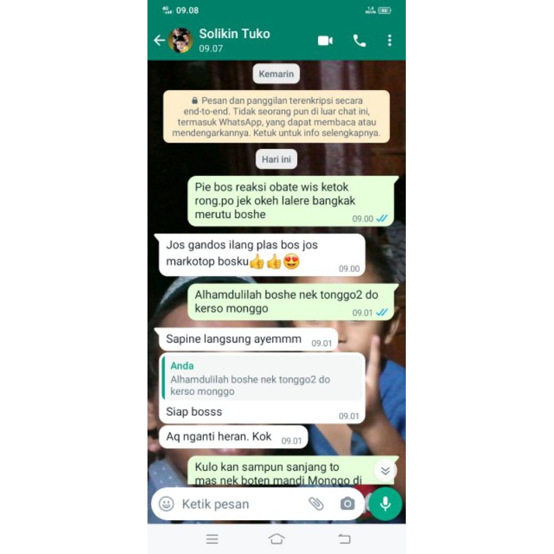 Ampun super obat pembasmi lalat,kutu pada sapi kambing ampuh super