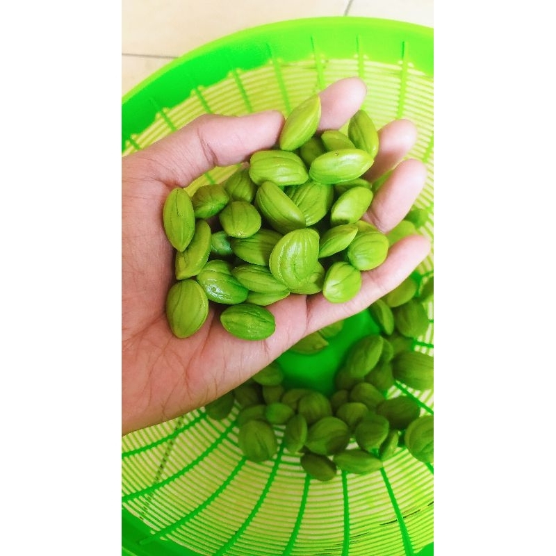 

Pete Kupas Murah Tua Super Jumbo Matang 500gr