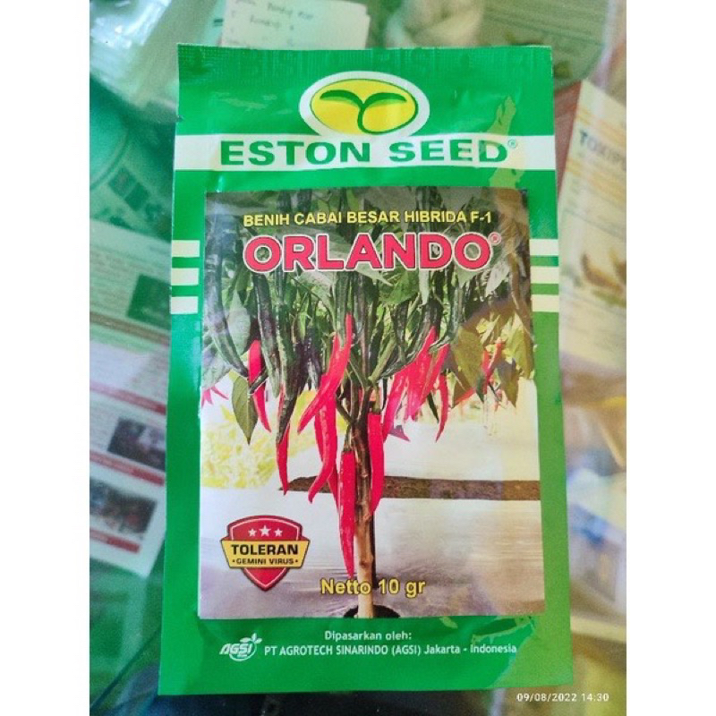 Benih bibit Cabe ORLANDO F1 10 gram