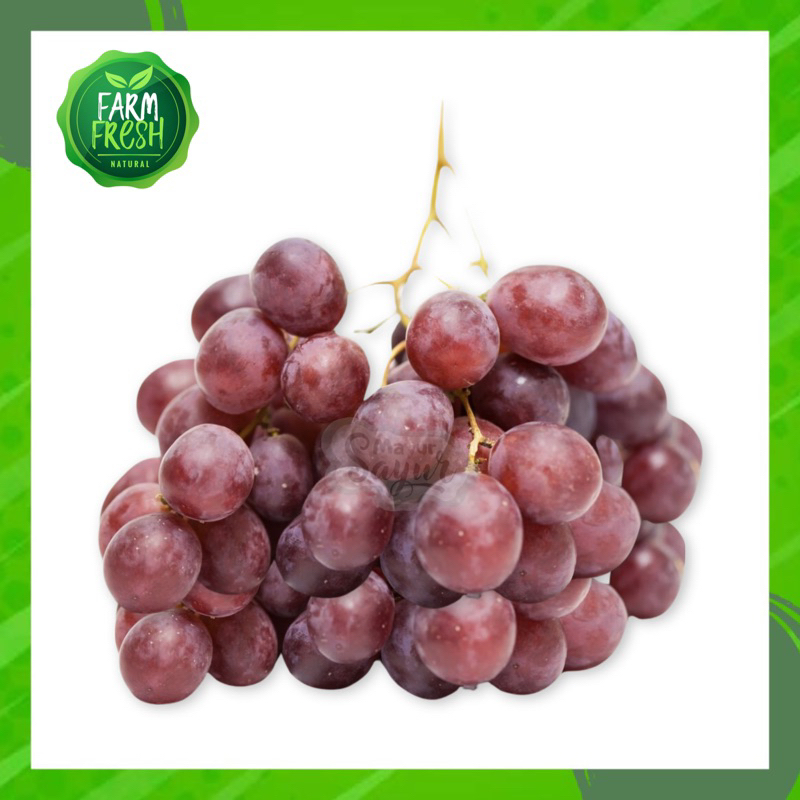 

KIRIM INSTAN Buah Anggur / 500 Gram