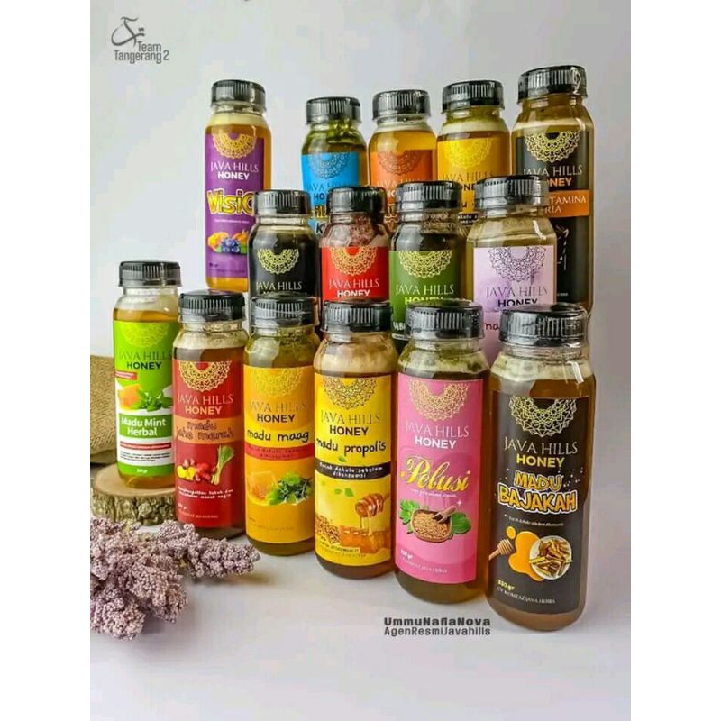 

Madu Pelusi Atau Madu Menyusui