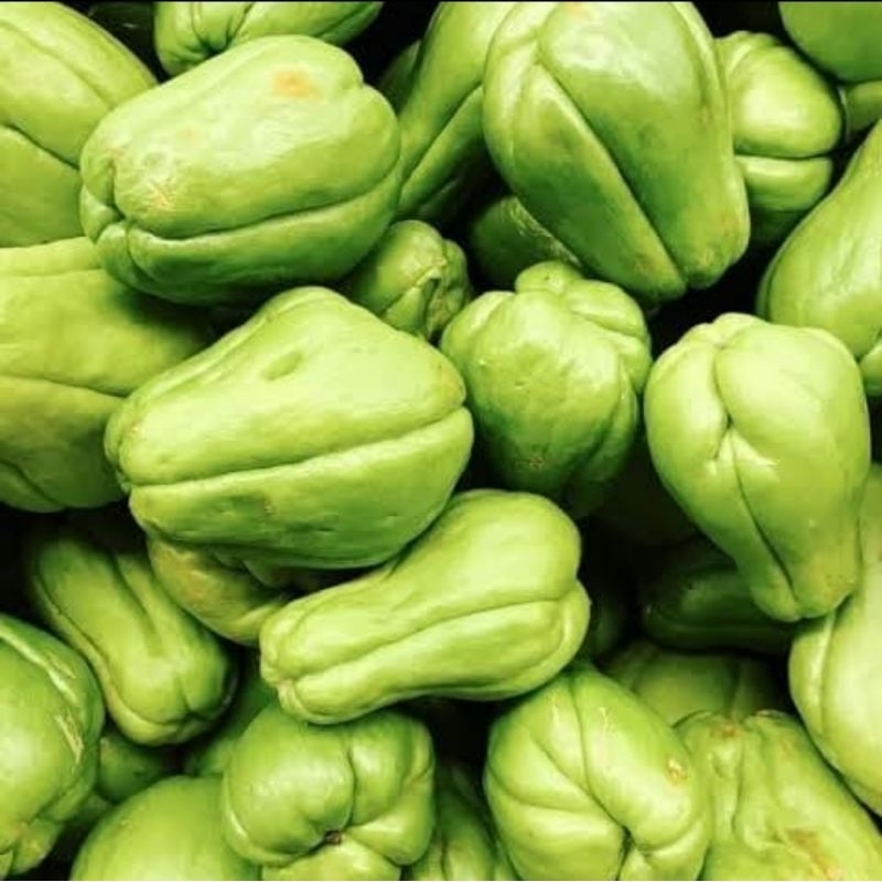 

Sayur Labu Siem Besar Murah Segar 1Kg