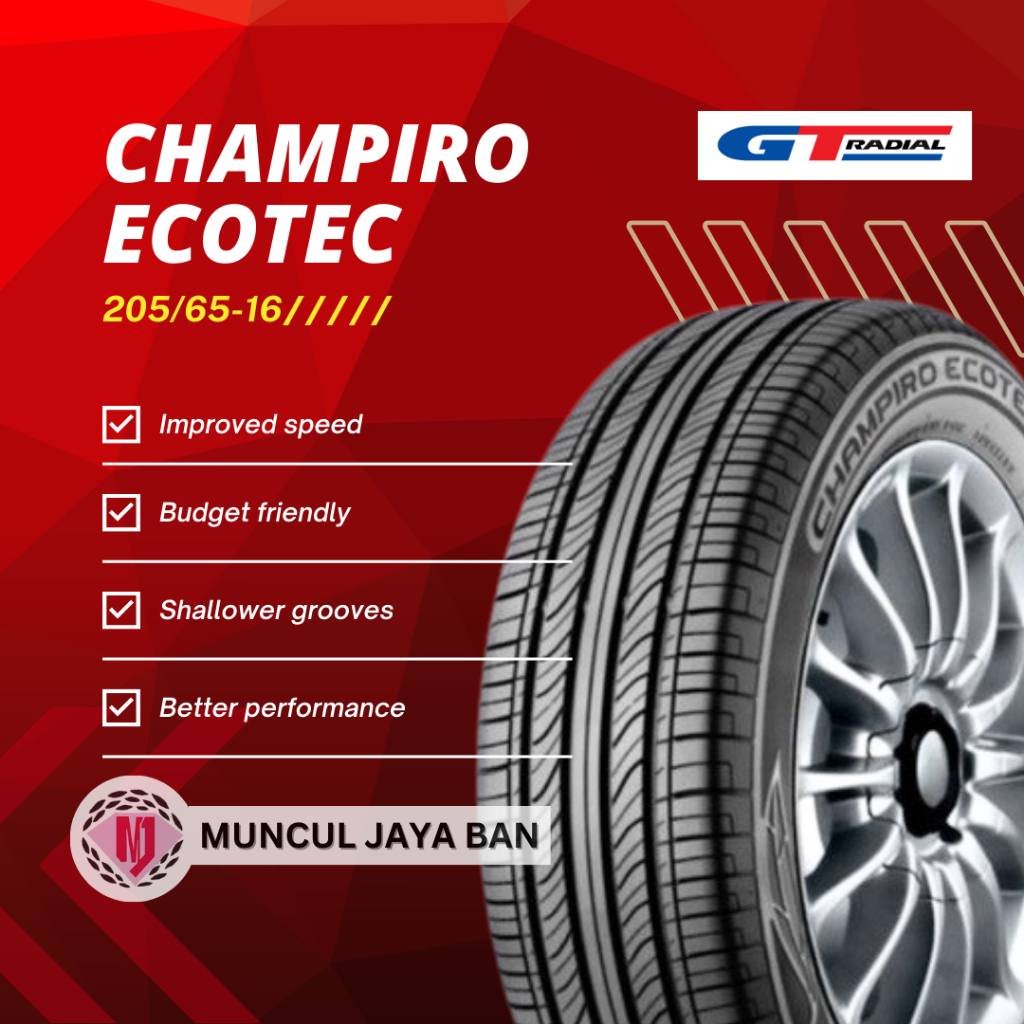 GT CHAMPIRO ECOTEC 205/65R16