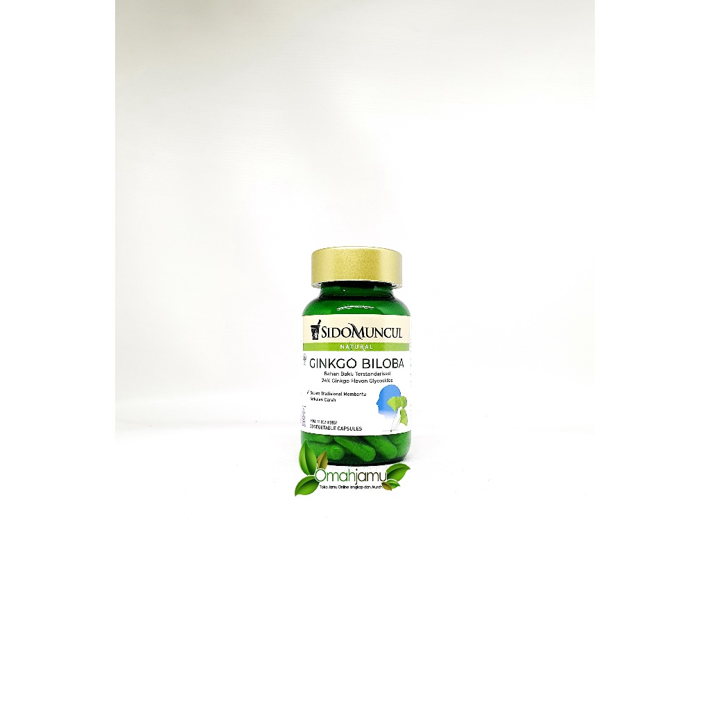 GINKGO BILOBA KAPSUL SIDOMUNCUL.