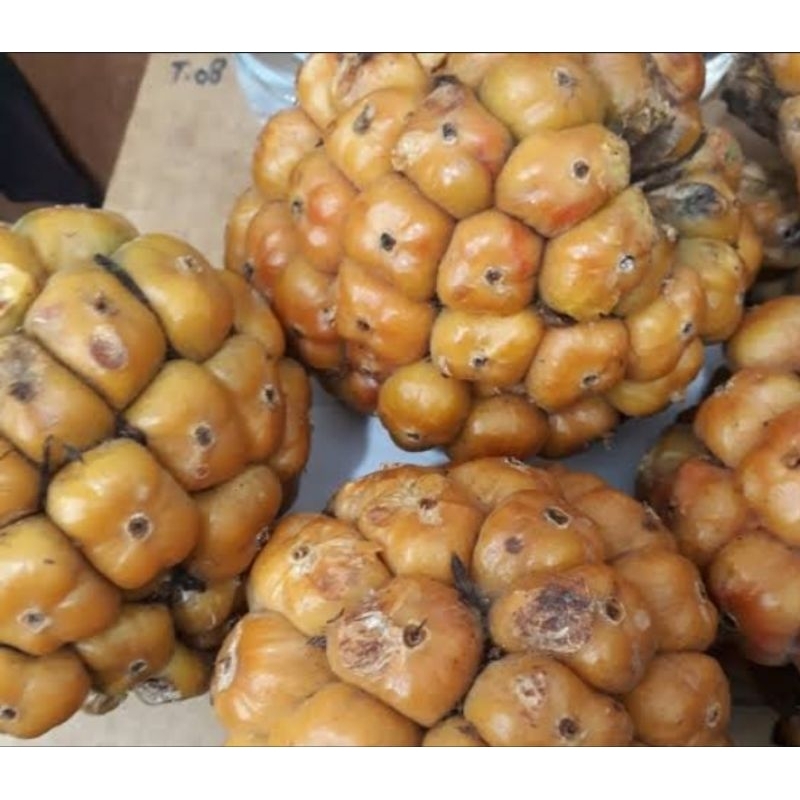 

♥️ Toko Medan ♥️ Cikala / patikala